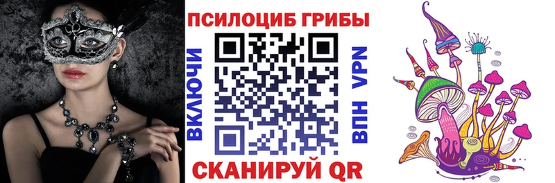 Псилоцибиновые грибы прущие грибы omg зеркало Зея нарко площадка официальный сайт купить закладку