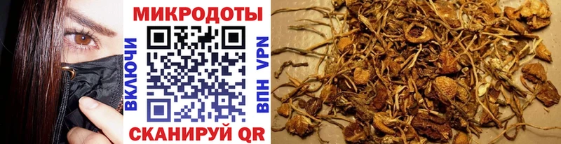 Галлюциногенные грибы Cubensis Зея